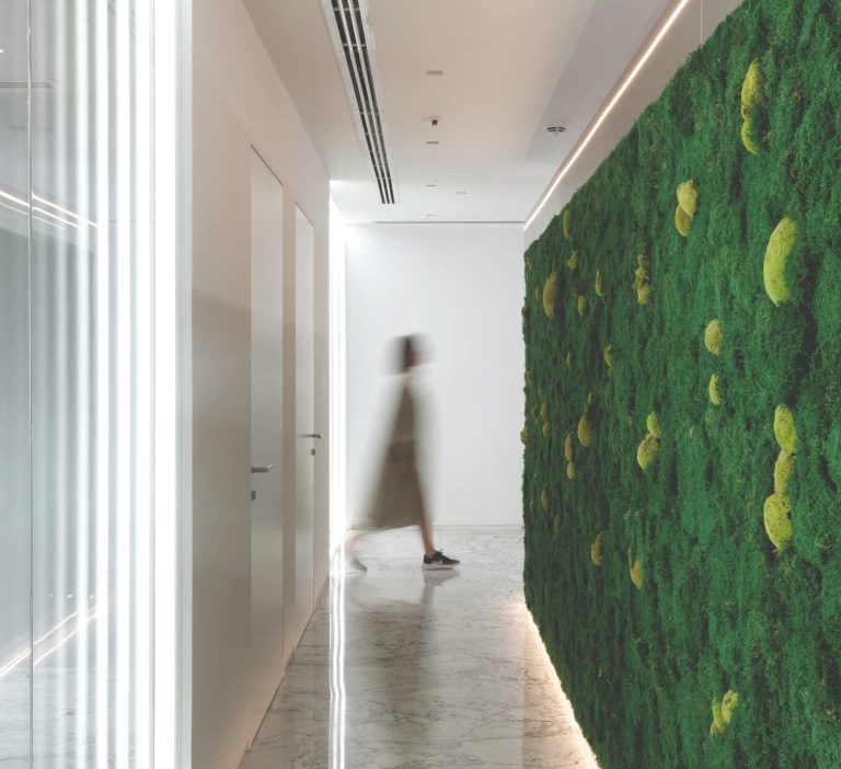 دسترسی به طبیعت در ساختمان ریبون